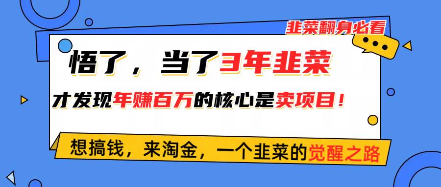 悟了，当了3年韭菜，才发现网赚圈年赚100万的核心是卖项目，含泪分享！-翌晨科技网