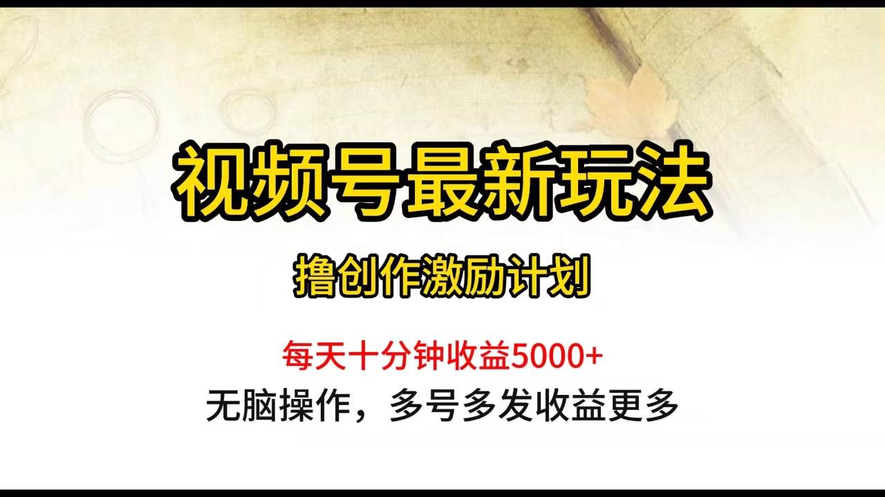 视频号最新玩法，每日一小时月入5000+-翌晨科技网