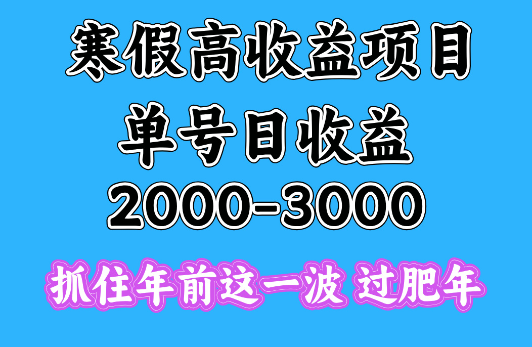 寒假期间一天收益2000-3000+,抓住年前这一波-翌晨科技网