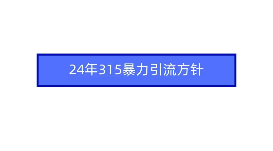 2024年315暴力引流方针-翌晨科技网