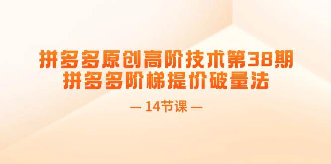 拼多多原创高阶技术第38期，拼多多阶梯提价破量法（14节课）-翌晨科技网