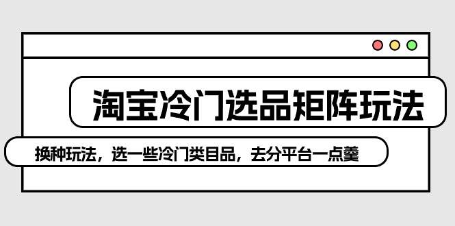 淘宝冷门选品矩阵玩法：换种玩法，选一些冷门类目品，去分平台一点羹-翌晨科技网