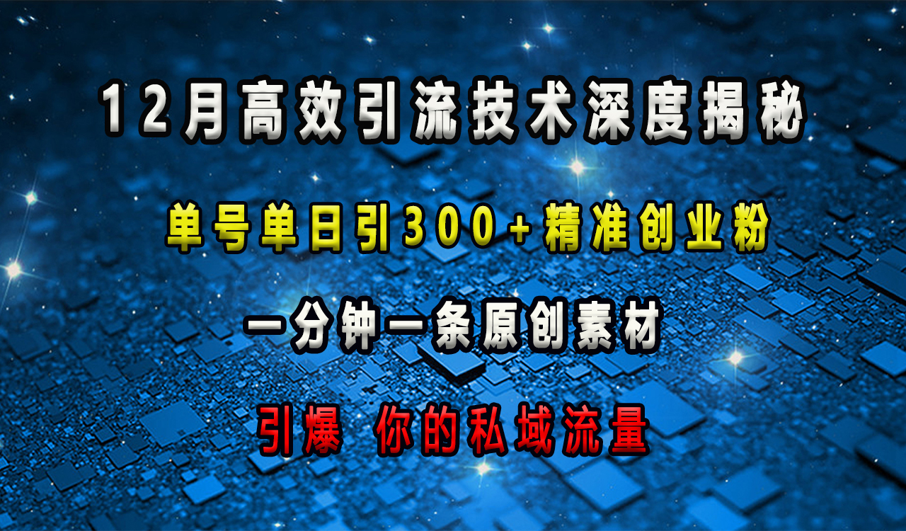 12月高效引流技术深度揭秘 ，单号单日引300+精准创业粉，一分钟一条原创素材，引爆你的私域流量-翌晨科技网
