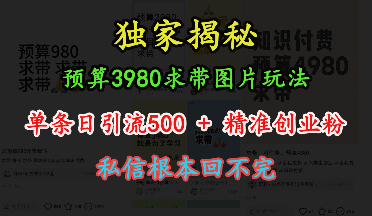“小红书”预算3980求带 图片玩法,单条日引流500+精准创业粉,私信根本回不完-翌晨科技网