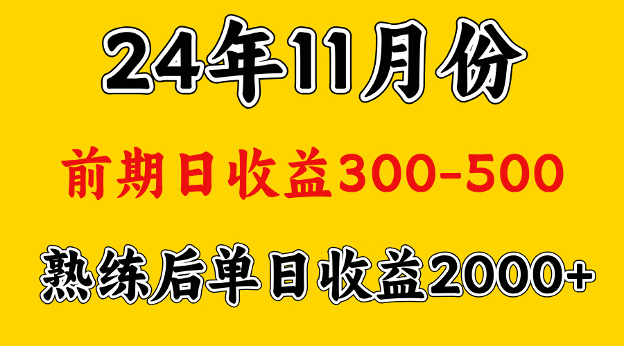 轻资产项目，前期日收益500左右，后期日收益1500-2000左右，多劳多得-翌晨科技网