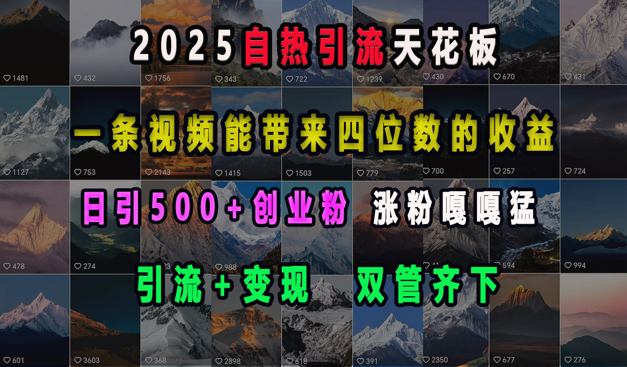 2025自热引流天花板，一条视频能带来四位数的收益，引流+变现双管齐下，日引500+创业粉，涨粉嘎嘎猛-翌晨科技网