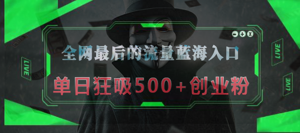 全网最后的流量蓝海入口,半小时引流50+创业粉,单日狂吸500+创业粉-翌晨科技网