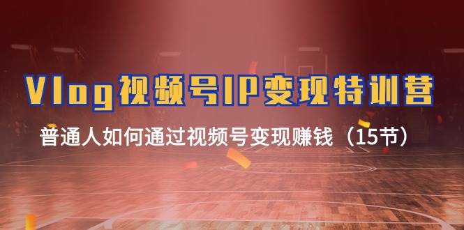 Vlog 视频号IP变现特训营，普通人如何通过视频号变现赚钱（15节）-翌晨科技网