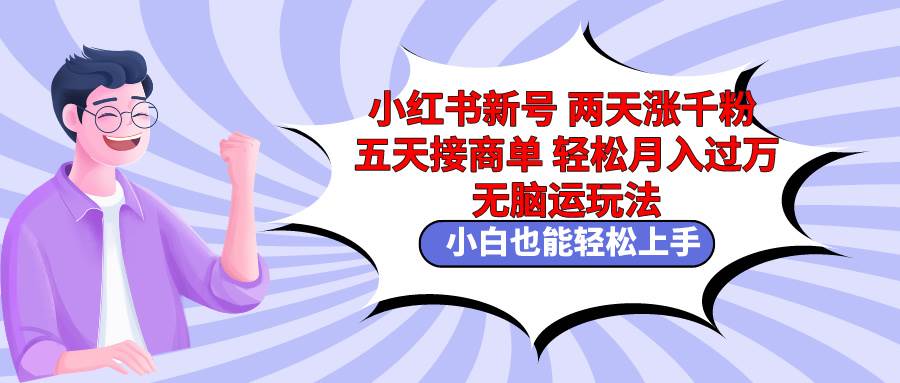 小红书新号两天涨千粉五天接商单轻松月入过万 无脑搬运玩法 小白也能轻...-翌晨科技网