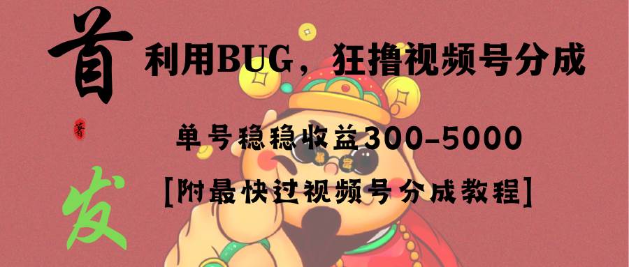 全网独家首发，视频号BUG，超短期项目，单号每日净收益300-5000！-翌晨科技网