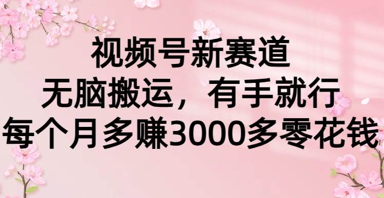 视频号新赛道，无脑搬运，有手就行，每个月多赚3000多零花钱-翌晨科技网