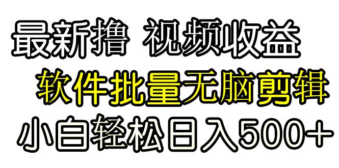 发视频撸收益，软件无脑批量剪辑，第一天发第二天就有钱-翌晨科技网