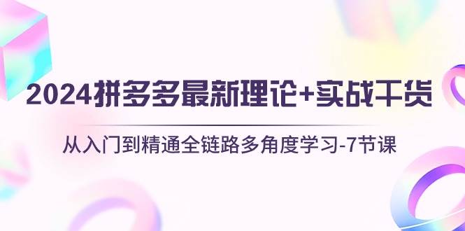 2024拼多多 最新理论+实战干货，从入门到精通全链路多角度学习-7节课-翌晨科技网