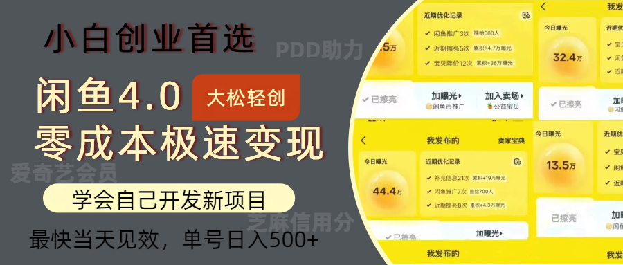 闲鱼0成本极速变现项目,多种变现方式,单号日入500+最新玩法-翌晨科技网