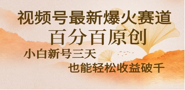 视频号独家玩法,老年养生赛道,无脑搬运爆款视频,日入2000+-翌晨科技网