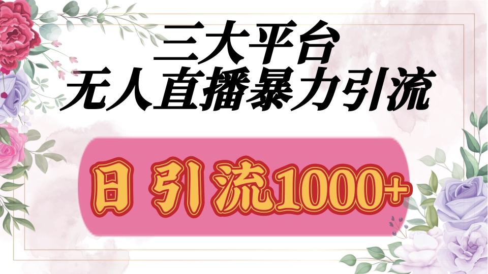 抖音，快手，视频号全平台通用，无人直播引流法，利用图片,模板,整套话术挂机全天支持矩阵操作，无限设备多开，超暴力引流，1000+高质量精准创业粉-翌晨科技网