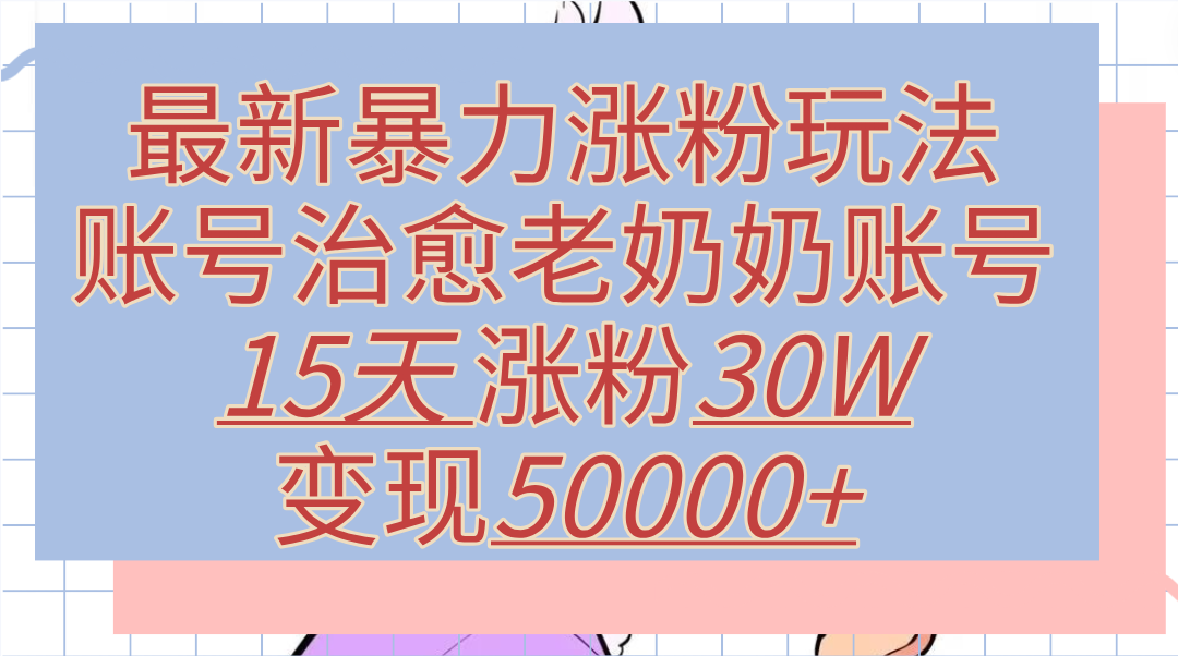 最新暴力涨粉玩法，治愈老奶奶账号，15天涨粉30W，变现50000+【揭秘】-翌晨科技网