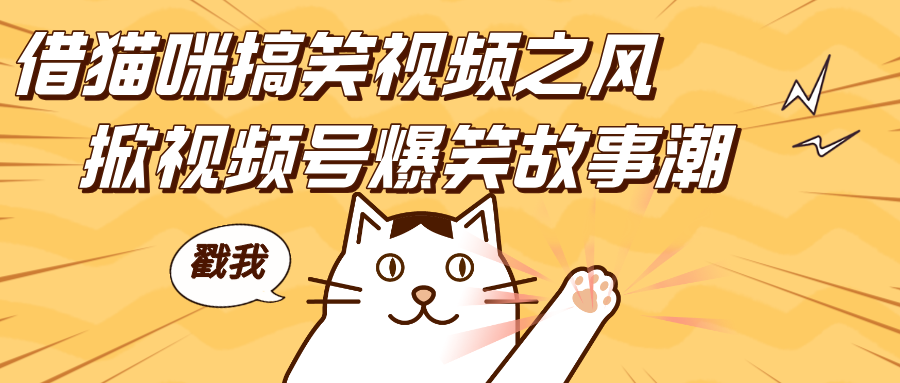 借猫咪搞笑视频之风,掀视频号爆笑故事潮,轻松日赚四位数,开启无门槛赚钱新体验!-翌晨科技网