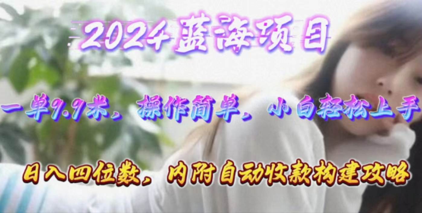 年轻群体的蓝海市场，1单9.9元，操作简单，小白轻松上手，日入四位数-翌晨科技网