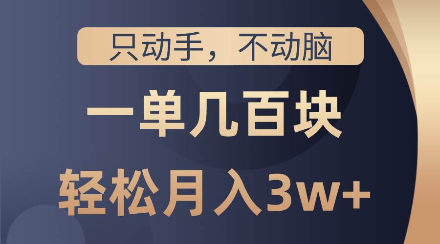 只动手不动脑，一单几百块，轻松月入3w+，看完就能直接操作，详细教程-翌晨科技网