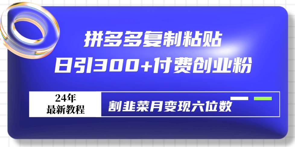 拼多多复制粘贴日引300+付费创业粉，割韭菜月变现六位数最新教程！-翌晨科技网