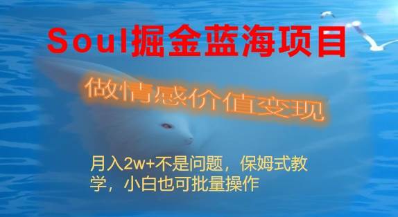Soul掘金蓝海项目细分赛道，做情感价值变现，月入2w+不是问题-翌晨科技网