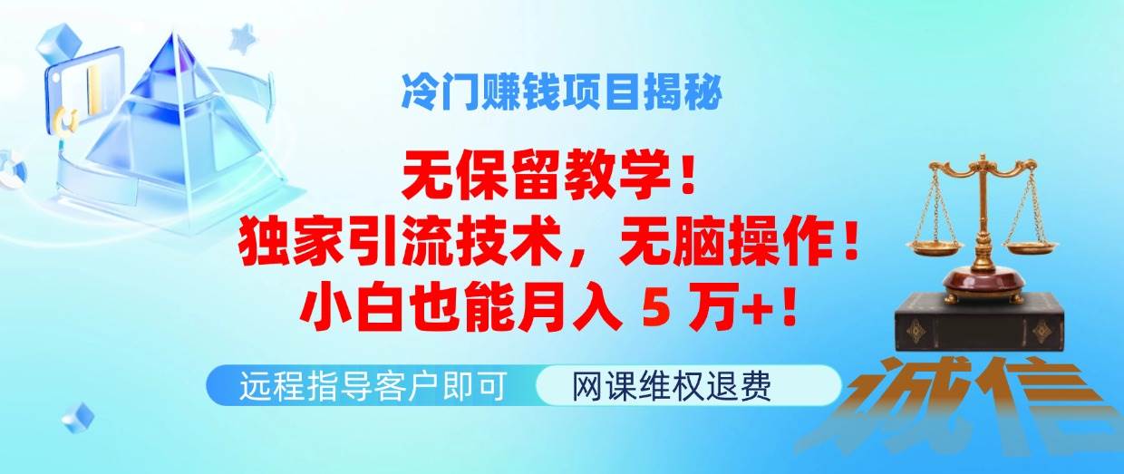 冷门赚钱项目无保留教学！独家引流技术，无脑操作！小白也能月入5万+！-翌晨科技网