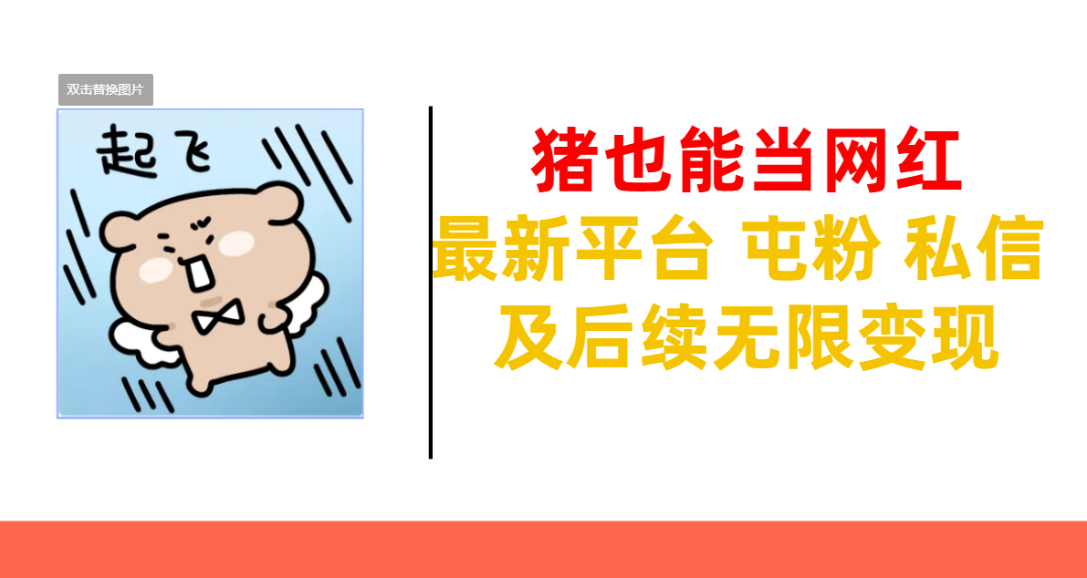 猪也能当网红-最新平台 屯粉 交流 私信 及后续无限变现-翌晨科技网