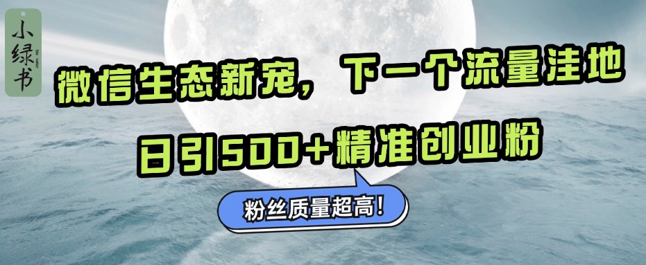 微信生态新宠小绿书：下一个流量洼地，粉丝质量超高，日引500+精准创业粉，-翌晨科技网