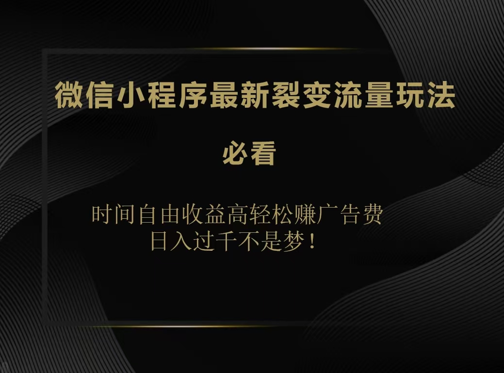 微信小程序最新裂变流量玩法，时间自由收益高轻松赚广告费，日入200-500+-翌晨科技网