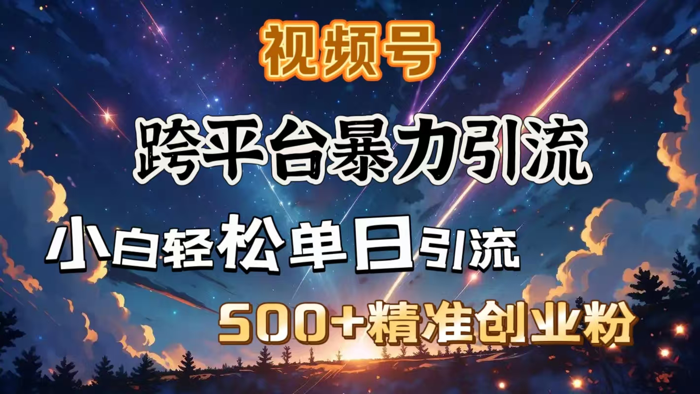 视频号跨平台暴力引流，小白轻松单日引流500＋精准创业粉-翌晨科技网