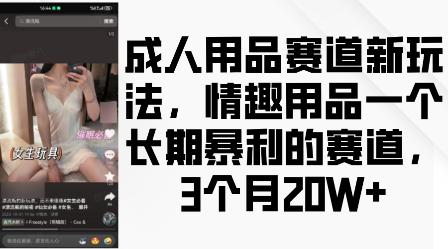 情趣用品一个长期暴利的赛道,成人用品赛道新玩法,3个月20W+-翌晨科技网