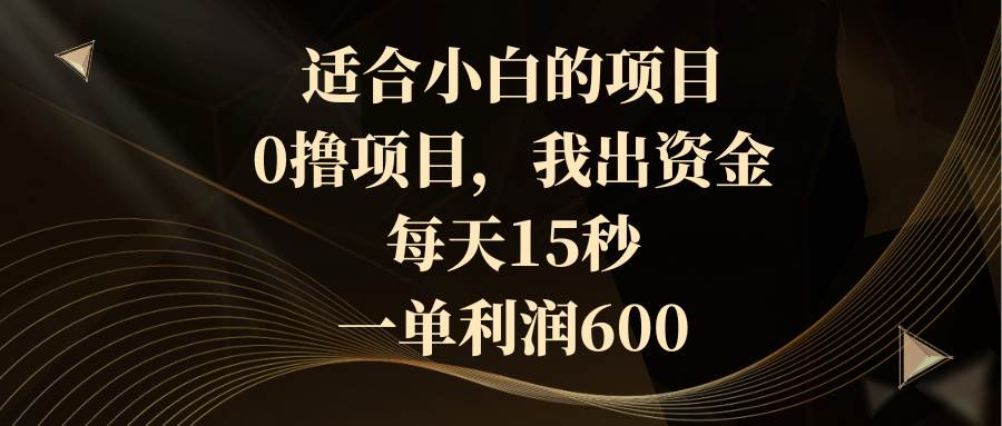 适合小白的项目，0撸项目，我出资金，每天15秒，一单利润600-翌晨科技网