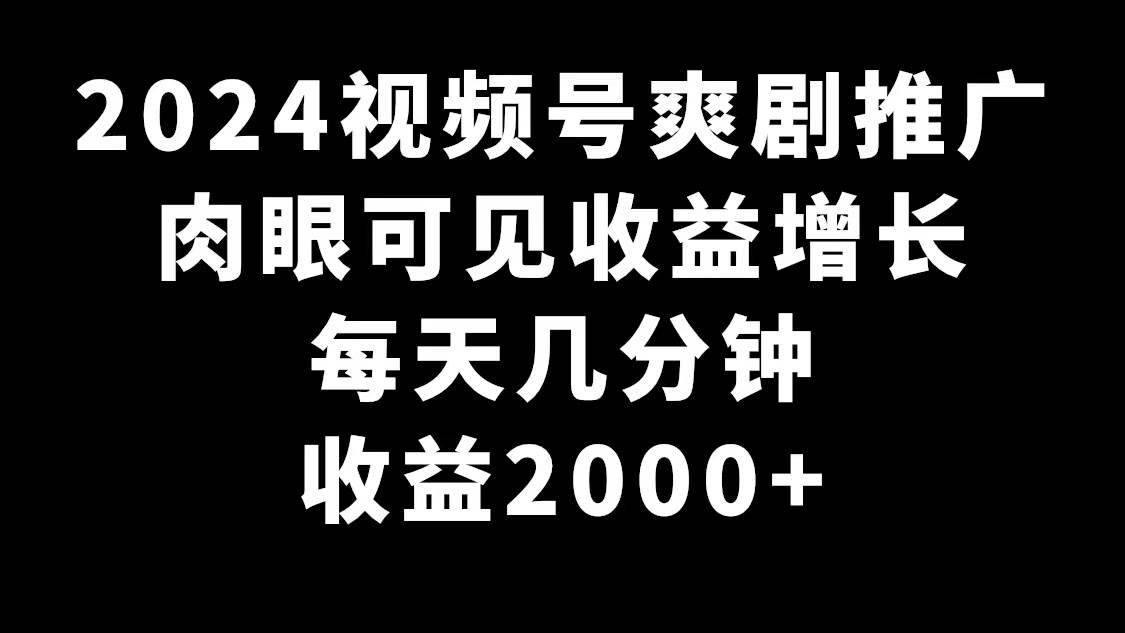 2024视频号爽剧推广，肉眼可见的收益增长，每天几分钟收益2000+-翌晨科技网