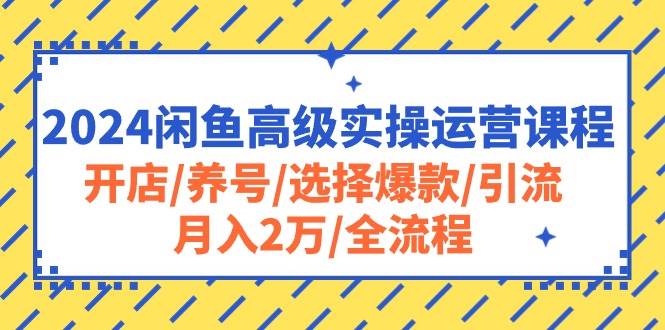 2024闲鱼高级实操运营课程：开店/养号/选择爆款/引流/月入2万/全流程-翌晨科技网