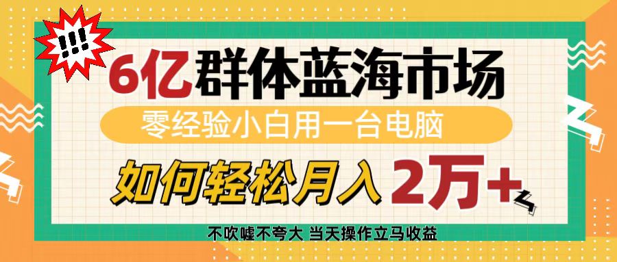 6亿群体蓝海市场,零经验小白用一台电脑,如何轻松月入2万+-翌晨科技网