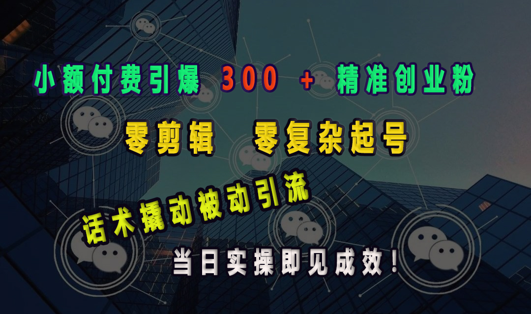 小额付费引爆 300 + 精准创业粉,零剪辑、零复杂起号,话术撬动被动引流,当日实操即见成效!-翌晨科技网