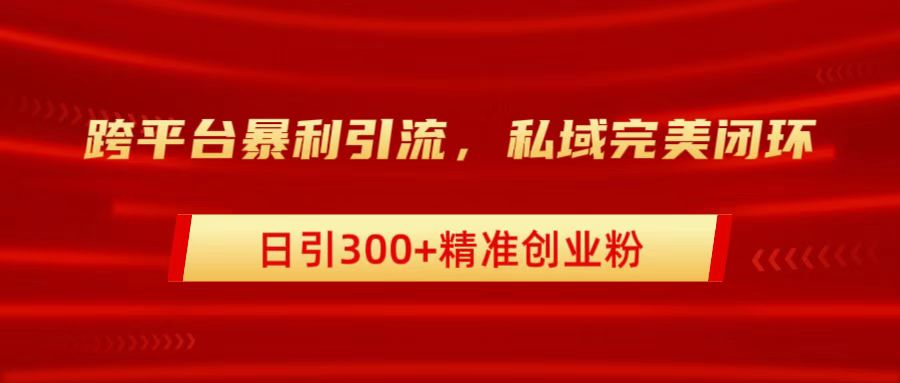 跨平台暴力引流,私域完美闭环,日引300+精准创业粉-翌晨科技网