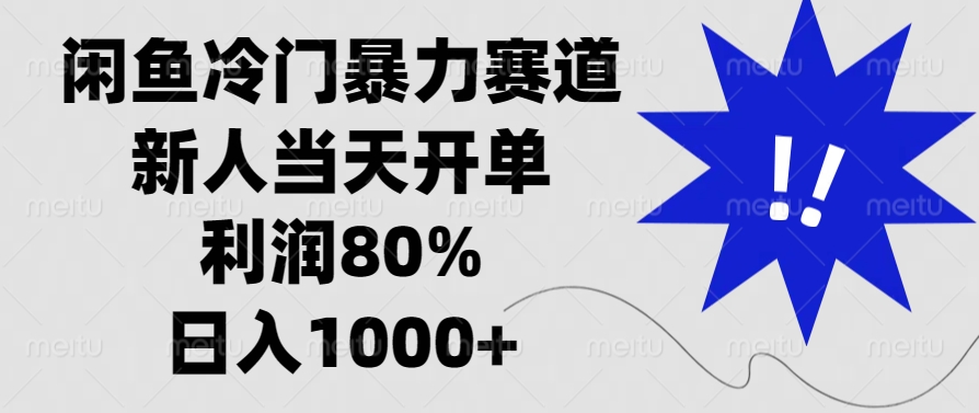 闲鱼冷门暴力赛道，利润80%，日入1000+新人当天开单，-翌晨科技网