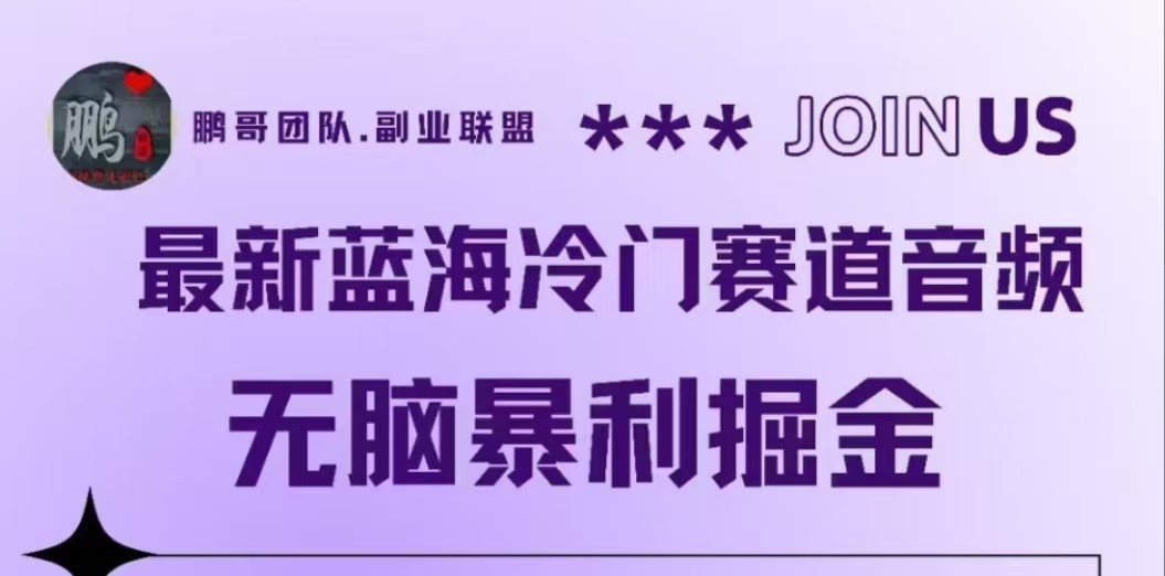 最新蓝海冷门赛道音频,无脑暴利掘金-翌晨科技网