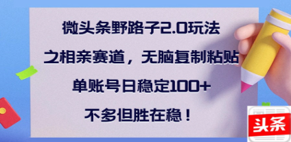 全网首发微头条野路子2.0玩法之相亲赛道，无脑搬砖复制粘贴，单账号日稳定300+保姆级教程-翌晨科技网