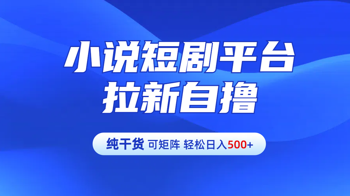 【纯干货】小说短剧平台拉新自撸玩法详解-单人轻松日入500+-翌晨科技网