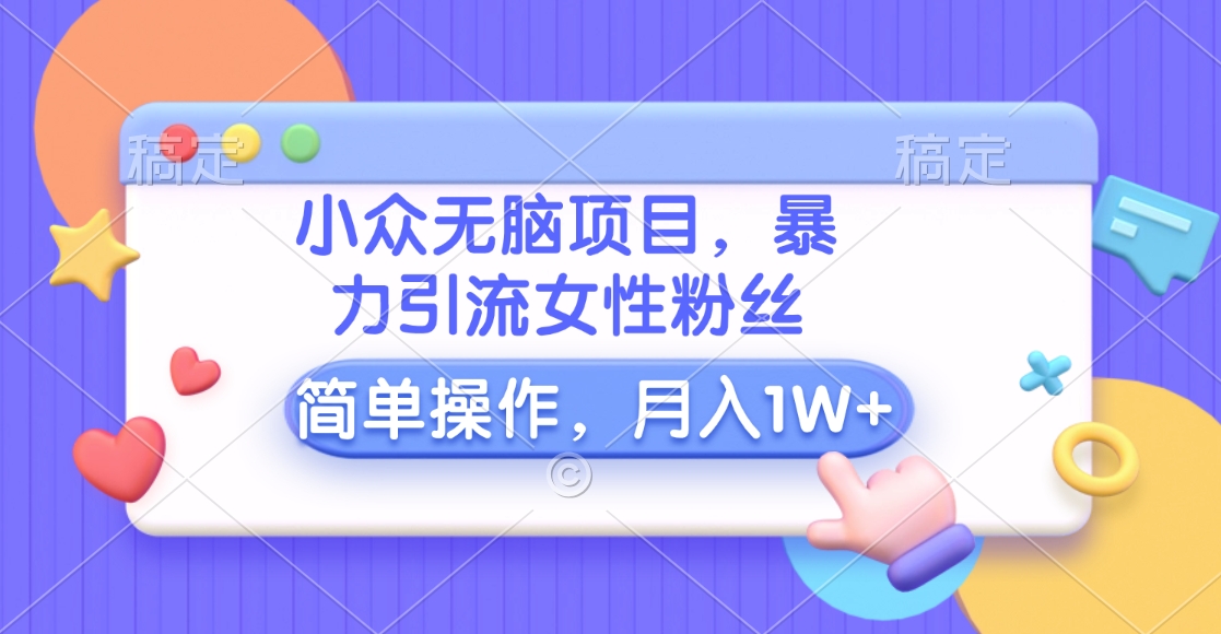 小众无脑项目,暴力引流女性粉丝,简单操作,月入10000+元-翌晨科技网