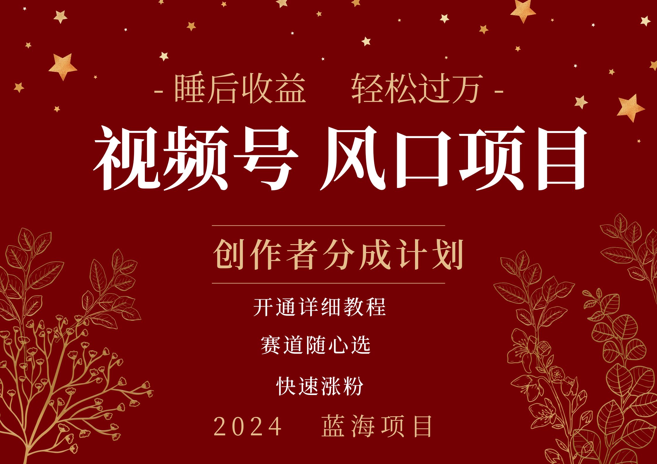 拥有睡眠收益的微信视频号大风口项目,轻松月入过万+,多赛道选择,可矩阵,玩法简单轻松上手-翌晨科技网