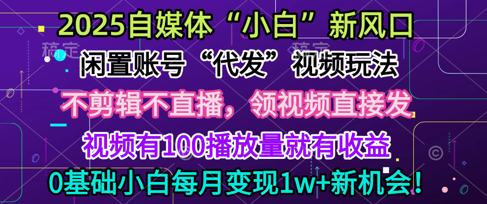 2025每月躺赚5w+新机会,闲置视频账号一键代发玩法,0粉不实名不剪辑,领了视频直接发,0基础小白也能日入300+-翌晨科技网
