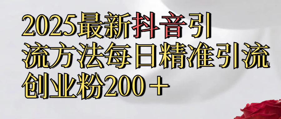 2025最新,抖音引流,方法每日精准引流创业粉300＋-翌晨科技网