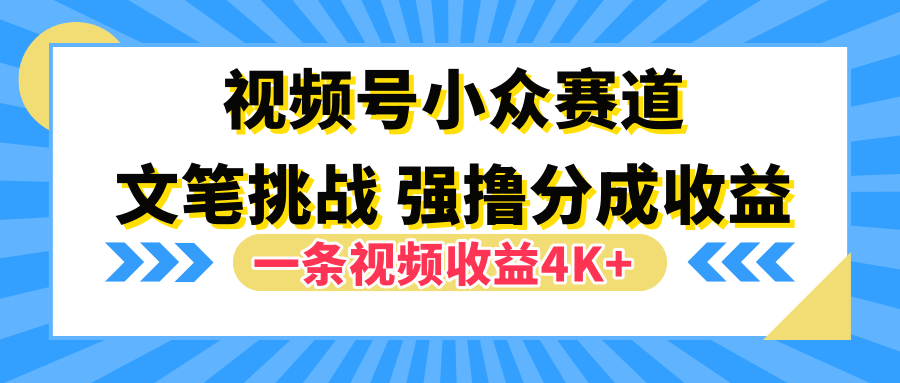 视频号小众赛道，文笔挑战，一条视频收益4K+-翌晨科技网