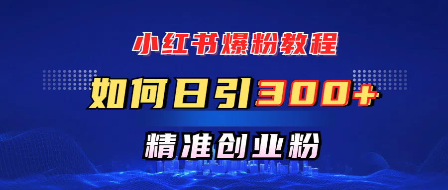小红书爆粉教程，如何日引300+创业粉，快速实现精准变现！-翌晨科技网