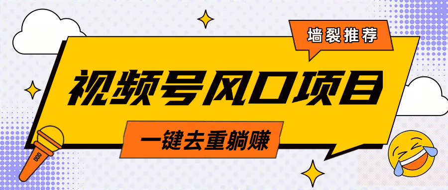 视频号风口蓝海项目,中老年人的流量密码,简单无脑,一键去重,轻松月入过万-翌晨科技网