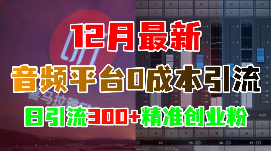 12月最新：音频平台0成本引流，日引300+精准创业粉-翌晨科技网